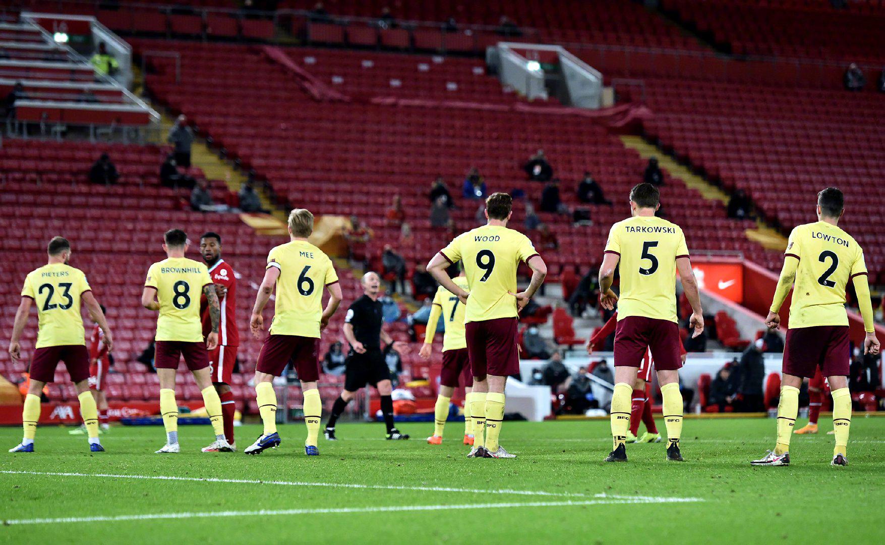 他们可能会 他们可能会